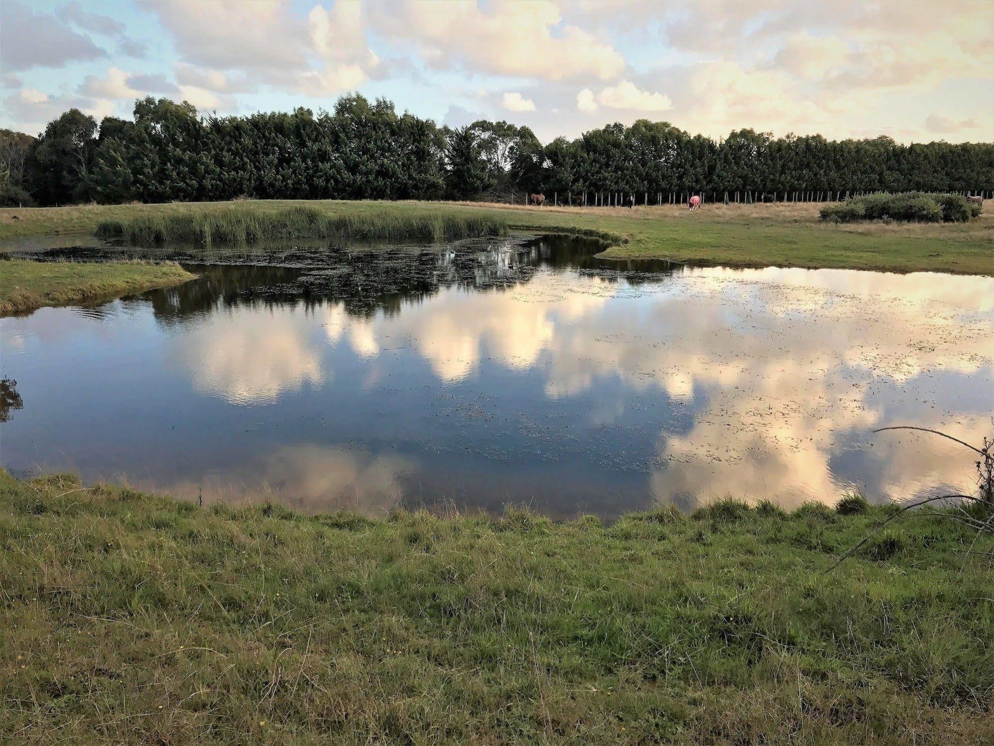 Woodbyne Resort Wimbledon Heights Eksteriør billede
